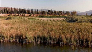 bg-image-low-res