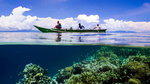 bg-image-low-res