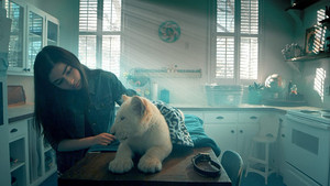 bg-image-low-res