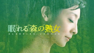 bg-image-low-res
