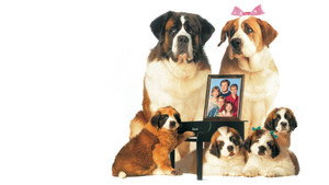 bg-image-low-res