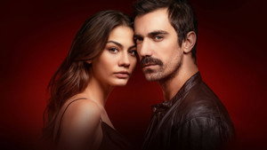 bg-image-low-res