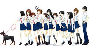 bg-image-low-res