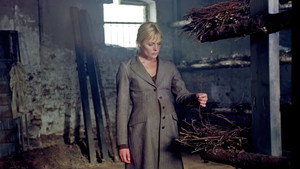 bg-image-low-res