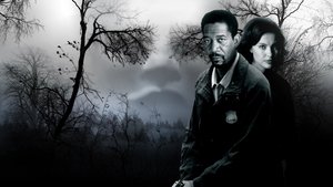 bg-image-low-res