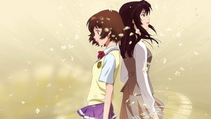 bg-image-low-res