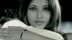 bg-image-low-res