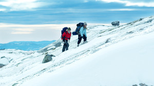 bg-image-low-res