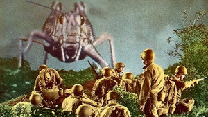 bg-image-low-res