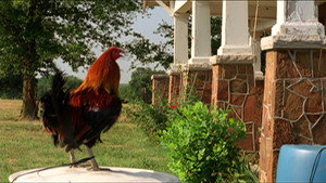 bg-image-low-res
