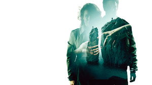 bg-image-low-res
