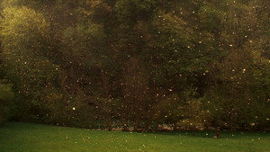 bg-image-low-res