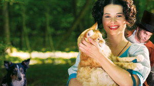 bg-image-low-res