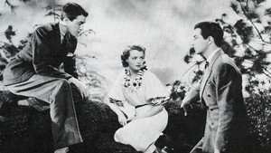 bg-image-low-res
