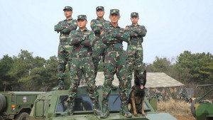 bg-image-low-res