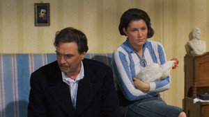 bg-image-low-res